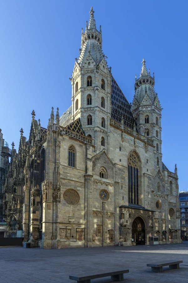 Le cardinal rouge: que signifie-t-il dans le domaine de religions ?