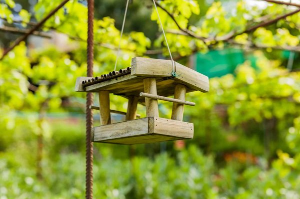 Comment créer un jardin écologique en collaboration avec un paysagiste ?
