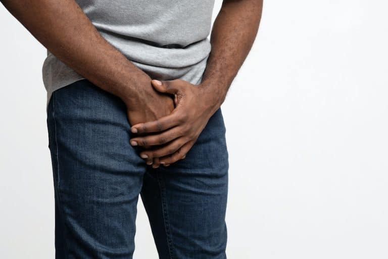 Le gland de lait légende réelle ou mauvaise blague